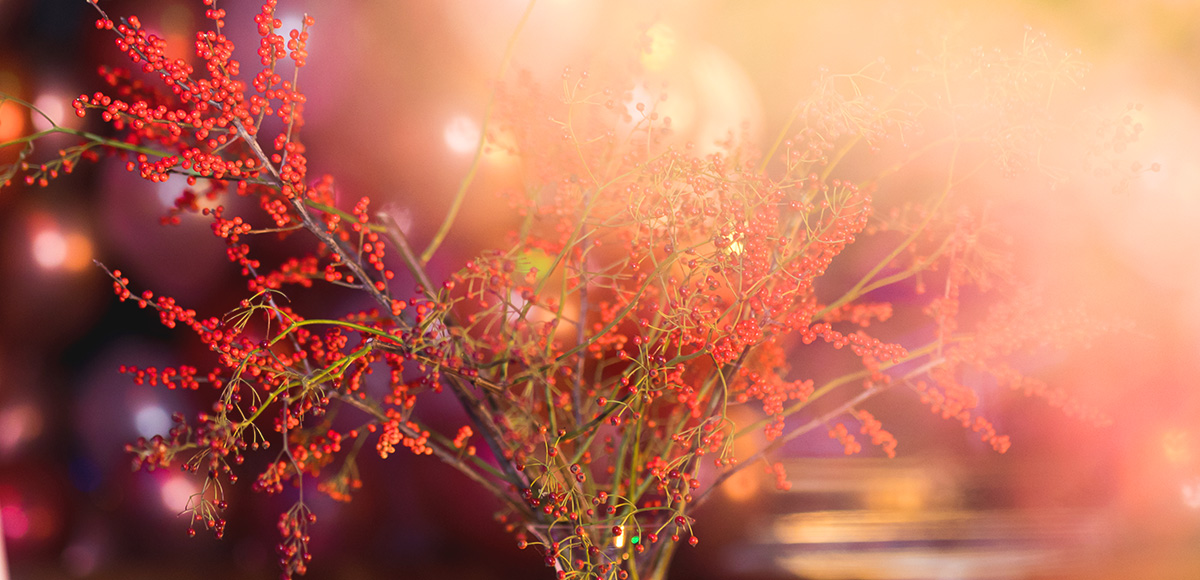Rowanberry Birthday